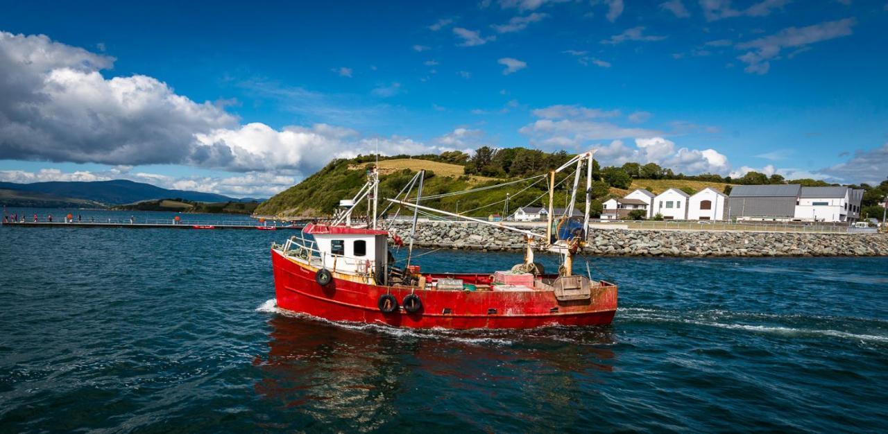 Barry'S Bed And Breakfast Bantry Luaran gambar